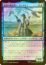 [FOIL] 放浪の魔法使い、ガンダルフ/Gandalf, Wandering Wizard 【日本語版】 [HOB-青C]