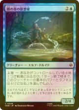 [FOIL] 闇の森の瞑想家/Mirkwood Meditator 【日本語版】 [HOB-青C]