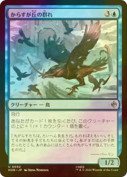 画像1: [FOIL] からすが丘の群れ/Ravenhill Flock 【日本語版】 [HOB-青U]