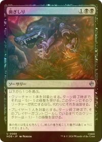 [FOIL] 歯ぎしり/Gnashing of Teeth 【日本語版】 [HOB-黒U]