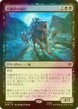 [FOIL] 狩猟群の頭目/Head of the Hunt 【日本語版】 [HOB-黒R]