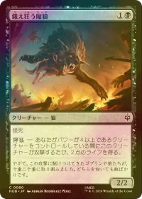 [FOIL] 餓え狂う魔狼/Ravening Warg 【日本語版】 [HOB-黒C]