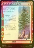 [FOIL] 燃えろ、燃えろ、木よ、シダよ/Burn, Burn, Tree and Fern 【日本語版】 [HOB-赤U]