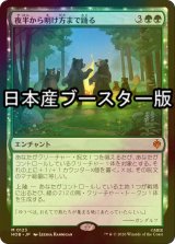 [FOIL] 夜半から明け方まで踊る/Dancing from Dark to Dawn ● (日本産ブースター版) 【日本語版】 [HOB-緑MR]