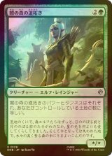 [FOIL] 闇の森の道拓き/Mirkwood Pathmaker 【日本語版】 [HOB-緑U]