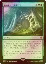 [FOIL] 森の入り口を抜けて/Through the Forest Gate 【日本語版】 [HOB-緑R]