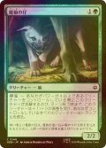[FOIL] 魔狼の仔/Wargling 【日本語版】 [HOB-緑C]