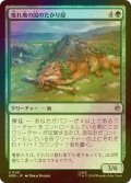 [FOIL] 荒れ地の国のたかり屋/Wilderland Scrounger 【日本語版】 [HOB-緑U]