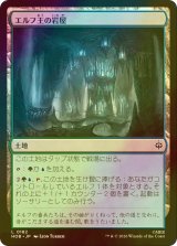 [FOIL] エルフ王の岩屋/Elvenking's Halls 【日本語版】 [HOB-土地C]
