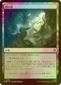 [FOIL] 闇の森/Mirkwood 【日本語版】 [HOB-土地C]