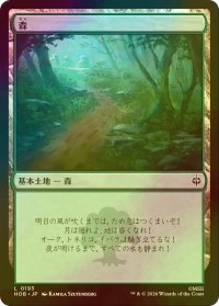 [FOIL] 森/Forest 【日本語版】 [HOB-土地C]