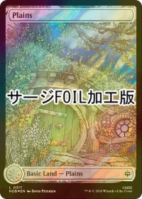 [FOIL] 平地/Plains No.317 (全面アート版・サージ仕様) 【英語版】 [HOB-土地C]