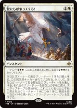 鷲たちがやってくる！/The Eagles Are Coming! 【日本語版】 [HOB-白R]