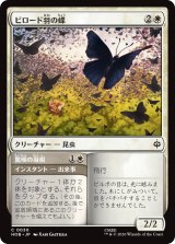 ビロード羽の蝶/Velvetwing Butterflies 【日本語版】 [HOB-白C]