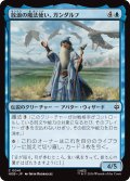 放浪の魔法使い、ガンダルフ/Gandalf, Wandering Wizard 【日本語版】 [HOB-青C]