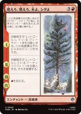 燃えろ、燃えろ、木よ、シダよ/Burn, Burn, Tree and Fern 【日本語版】 [HOB-赤U]