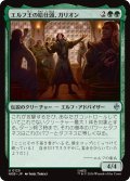 エルフ王の給仕頭、ガリオン/Galion, Elvenking's Butler 【日本語版】 [HOB-緑U]