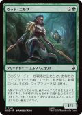 ウッド・エルフ/Wood Elves 【日本語版】 [HOB-緑C]