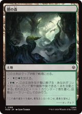 闇の森/Mirkwood 【日本語版】 [HOB-土地C]