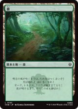 森/Forest 【日本語版】 [HOB-土地C]