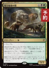 親分魔狼の隊/Chief Warg's Company 【日本語版】 [HOB-金R] (予約E)