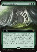 森の入り口を抜けて/Through the Forest Gate (拡張アート版) 【日本語版】 [HOB-緑R]