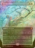 [FOIL] 白の木に花開く/Flowering of the White Tree No.014 (全面アート・海外産ブースター版) 【日本語版】 [HOC-白MR]