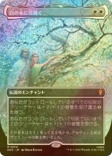 [FOIL] 白の木に花開く/Flowering of the White Tree (全面アート・海外産ブースター版) 【日本語版】 [HOC-白MR]