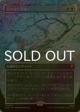 [FOIL] 白の木に花開く/Flowering of the White Tree No.014 (全面アート・海外産ブースター版) 【日本語版】 [HOC-白MR]
