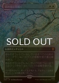 [FOIL] 白の木に花開く/Flowering of the White Tree No.014 (全面アート・海外産ブースター版) 【日本語版】 [HOC-白MR]