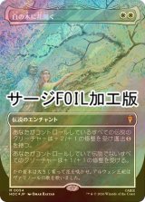 [FOIL] 白の木に花開く/Flowering of the White Tree (全面アート版・サージ仕様) 【日本語版】 [HOC-白MR]