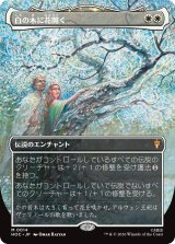 白の木に花開く/Flowering of the White Tree (全面アート版) 【日本語版】 [HOC-白MR]