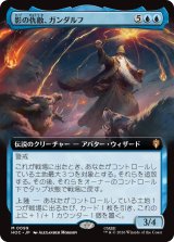 影の仇敵、ガンダルフ/Gandalf, Shadow's Foe (拡張アート版) 【日本語版】 [HOC-青MR]
