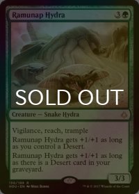 [FOIL] ラムナプのハイドラ/Ramunap Hydra 【英語版】 [HOU-緑R]