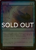 [FOIL] 相殺の風/Countervailing Winds 【日本語版】 [HOU-青C]