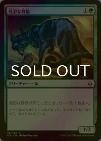 [FOIL] 残忍な野猫/Feral Prowler 【日本語版】 [HOU-緑C]