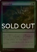 [FOIL] ニッサの敗北/Nissa's Defeat 【日本語版】 [HOU-緑U]