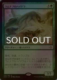 [FOIL] ラムナプのハイドラ/Ramunap Hydra 【日本語版】 [HOU-緑R]