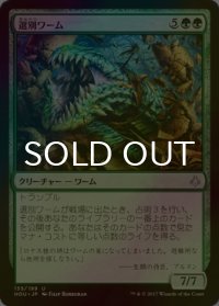 [FOIL] 選別ワーム/Sifter Wurm 【日本語版】 [HOU-緑U]