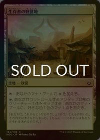 [FOIL] 生存者の野営地/Survivors' Encampment 【日本語版】 [HOU-土地C]