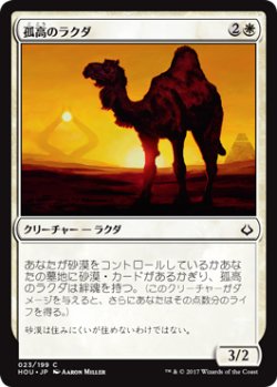 画像1: 孤高のラクダ/Solitary Camel 【日本語版】 [HOU-白C]