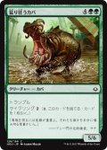 猛り狂うカバ/Rampaging Hippo 【日本語版】 [HOU-緑C]