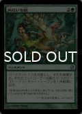 内にいる獣/Beast Within 【日本語版】 [HVM-緑U]