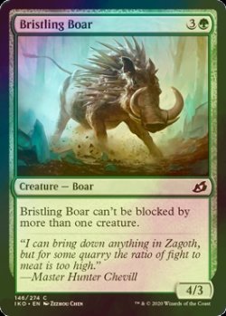 画像1: [FOIL] 逆毛の猪/Bristling Boar 【英語版】 [IKO-緑C]