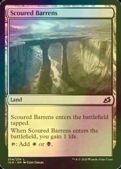 画像1: [FOIL] 磨かれたやせ地/Scoured Barrens 【英語版】 [IKO-土地C]