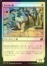 [FOIL] 駐屯地の猫/Garrison Cat 【日本語版】 [IKO-白C]