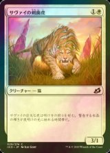 [FOIL] サヴァイの剣歯虎/Savai Sabertooth 【日本語版】 [IKO-白C]