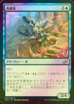 画像1: [FOIL] 奇異鳥/Avian Oddity 【日本語版】 [IKO-青U]