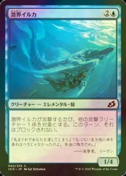 画像1: [FOIL] 潜界イルカ/Phase Dolphin 【日本語版】 [IKO-青C]