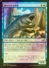 [FOIL] 飛びかかる岸鮫/Pouncing Shoreshark 【日本語版】 [IKO-青U]